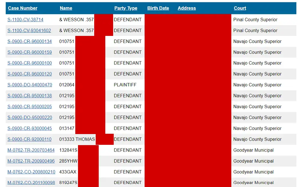 A screenshot displaying a public case lookup results showing details such as case number, name, party type, birth date, address and designated court.
